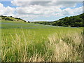 View along the valley towards Dover