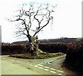 Hawson Cross -  at turning to Cullaford Bridge 1969