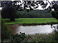 Afon Teifi at Llandyfriog