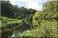 River Lark at Gravel Gardens