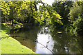 River Lark at Gravel Gardens