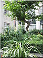 Small garden adjacent to St Edmund King and Martyr