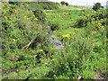 Stream at Knockglass bridge