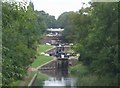 SP0396 : Rushall Canal - Flight of Locks by John M