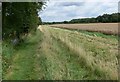 Footpath along the River Sence