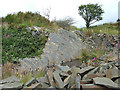 SN5962 : Disused small quarry face, Penuwch, Ceredigion by Roger  D Kidd