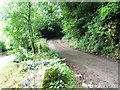 Start of track to Parsonage Farm