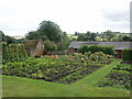 Kitchen Gardens