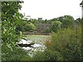 Cottages across the lower duckpond at Badger