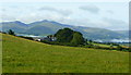 Pasture land north of Plas-celyn