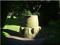 SE2860 : Penitents stone in churchyard at Ripley by ronnie leask