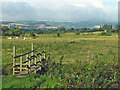 Footpath across the Meads, Bridgwater