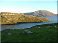 Lazy beds at Tolmachan