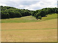 Looking S across farmland