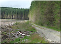 SN7053 : Forestry road, Cwm Dulas Plantation, Ceredigion by Roger  D Kidd