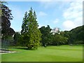 Trees in the grounds of Giggleswick School