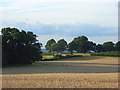 Crown Estate farmland, Windsor