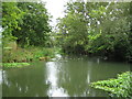 River Ember near Weston Green