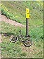 Abandoned Bicycle - Tame Valley Canal