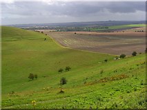 SU0764 : Downland, Bishops Cannings by Andrew Smith