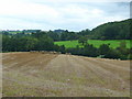 Harvested field 1