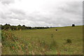 Field near Merrifield