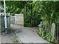 Emerging from the Trans Pennine Trail onto Roughbirchworth Lane in Oxspring