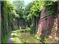 Bridgwater and Taunton Canal