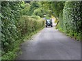 Hedge cutting near Chudleigh