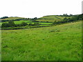 View towards Allt y Gest