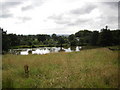 Fishing lake near Crombleholme Lane