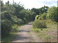 Track near the edge of Column Field Quarry