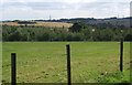 Field by track to Cottage Farm