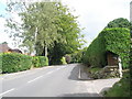 Crossways Road between Kingswood Firs and Mowatt Road