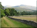 Fields at Auchindrean