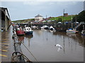 Eyemouth Harbour