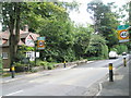 Boundary- Grayshott/Hampshire over into Hindhead/Surrey