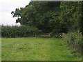 Footpath next to Doddershall Wood