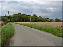O1149 : Country Road by Ian Paterson