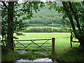 Pasture beside Afon Melindwr