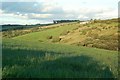 Farmland View