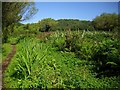 Holy Vale Nature Trail, St. Mary