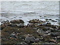 NR4461 : Otter enjoying lunch on the Sound of Islay by Peter Edwards