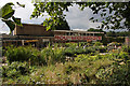 Finchley Manor Garden Centre