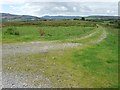 Leading to footpath at Blaen-Llech