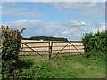 Ready for harvesting near Llysworney