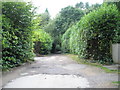 Approach road to the car park by The Beacon