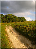 TQ2913 : Farm Track near Wellcombe Bottom by Simon Carey