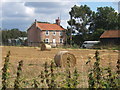 Farmhouse between Barham and Henley