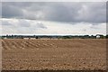 Fields between Lower Road and Worthy Down Camp